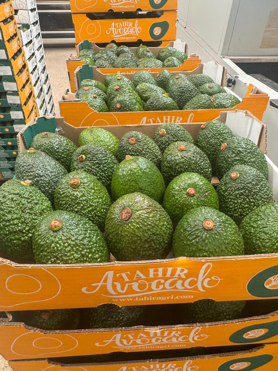 Tahir Agri produce
